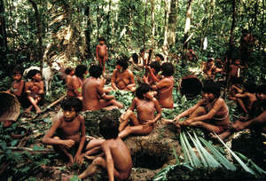 Survival denuncia que Venezuela reste importancia a la 'masacre' yanomami