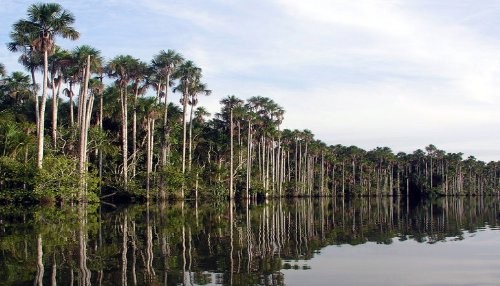 Reserva Nacional Tambopata celebra su 12 aniversario