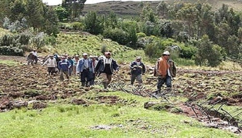 Gobierno oficializa Censo Agropecuario entre 15 octubre y 15 de noviembre