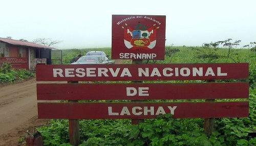 Guardaparques y universitarios juntos en jornada de limpieza de residuos sólidos en la Reserva Nacional de Lachay