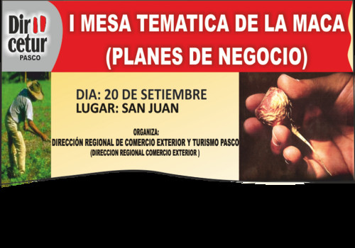 DIRCETUR PASCO: Desarrollaron importante curso sobre planes de negocio de la maca