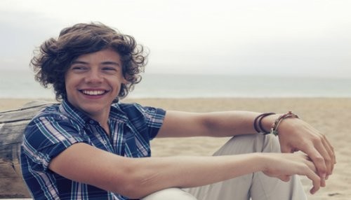 Harry Styles: No soy un mujeriego Harry Styles: No soy un mujeriego