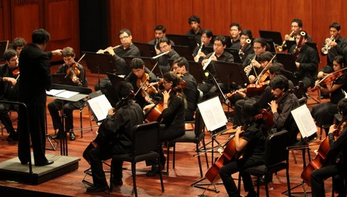 Audiciones de Contrabajo y Violonchelo para integrar Orquesta Sinfónica Nacional Juvenil