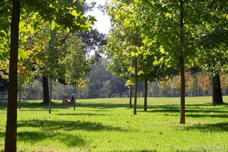 Ministerio de Vivienda inaugura moderno parque en localidad aracuchana de Paccchahuallhua