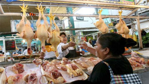 Precio del pollo no mostró alza alguna