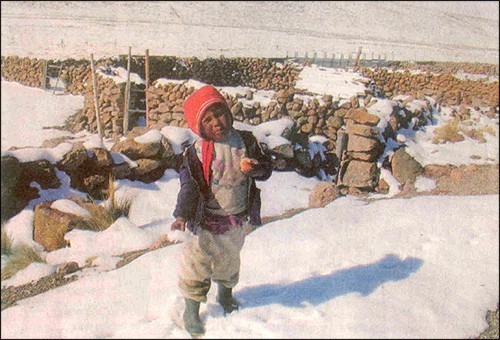 Nueva campaña de ayuda y hermandad 'Abriguemos a Cayachira-Puno' Nueva campaña de ayuda y hermandad 'Abriguemos a Cayachira-Puno'