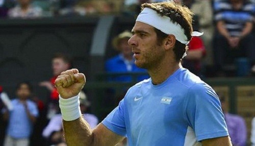 Del Potro se alzó con el título de Viena