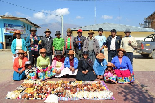 [Huancavelica] Productores de Tayacaja buscan exportar maíz al mundo
