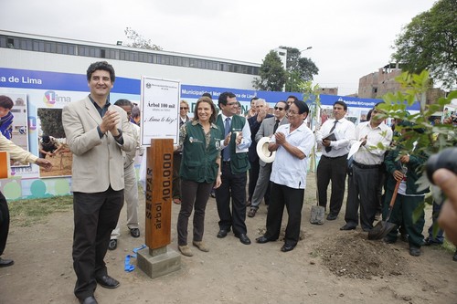 100 mil árboles fueron plantados en Lima programa 'Adopta un Árbol' cumplió la meta