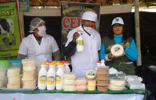 [Huancavelica] Agencia Agraria capacitará a productores en elaboración de productos lácteos