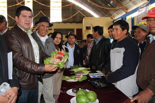 [Huancavelica] Reconocen a 113 asociaciones de productores agropecuarios ganadores del PROCOMPITE 2012