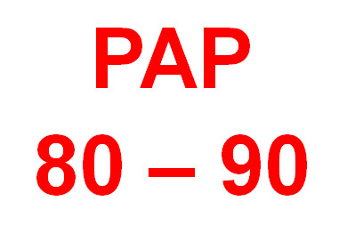 Flash Red PAP 80-90: Primera Potencia Mundial en Información y Comunicación Aprista