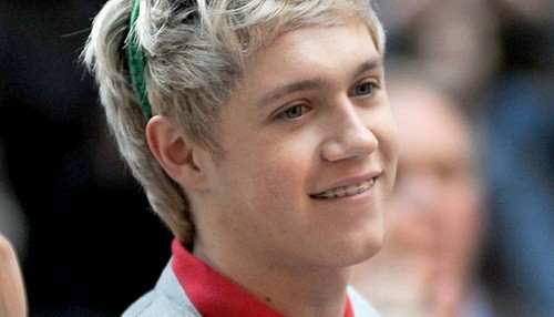 One Direction: Niall Horan quiere compartir habitación con Demi Lovato