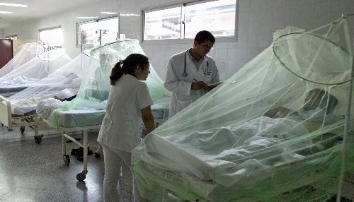 Paraguay: 5 muertes por dengue en lo que va de enero