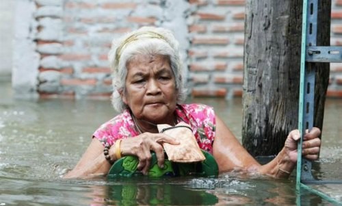 Tailandia: Cocodrilos colman las calles afectadas por las inundaciones