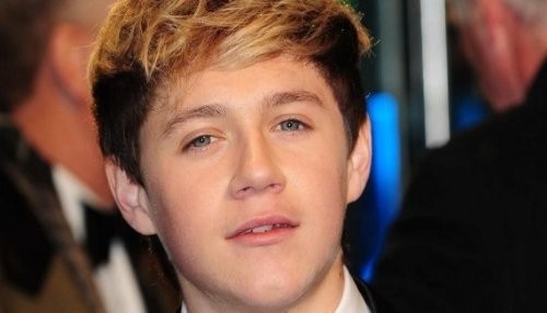 Niall Horan: Yo no estaba en un accidente de coche