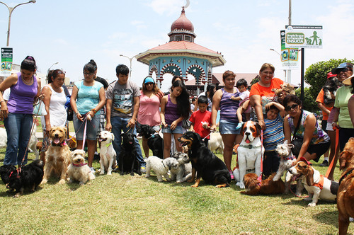 Municipio de San Miguel instala 200 'Mascotachos' para impulsar la campaña 'Limpia lo que tu mascota ensucia'