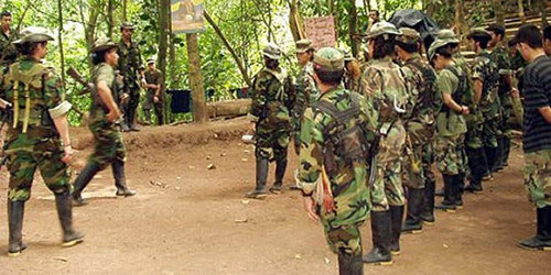 Las FARC proponen legalizar la marihuana y amapola con fines terapéuticos