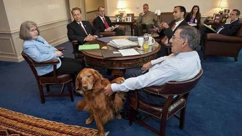 Bravo,el perro que sabe secretos de la defensa militar de Estados Unidos