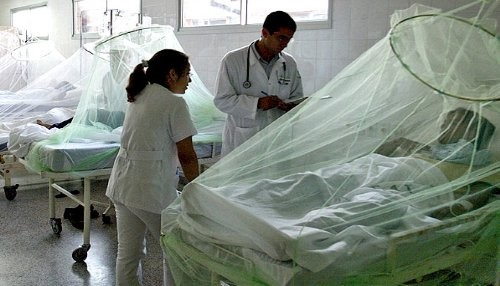 Paraguay: 27 muertes en 2013 y 783 casos sospechosos en un día por dengue