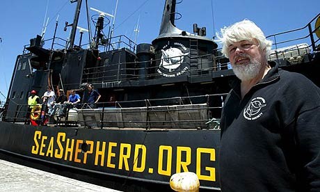 EE.UU califica de piratas al grupo de activistas Sea Shepherd