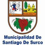 Vecinos de Santiago de Surco eligen nuevas juntas de delegados vecinales
