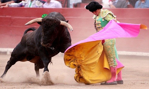 YouTube prohíbe colgar videos donde mueren toros