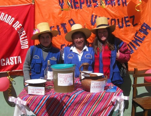 Municipalidad Provincial de Huarochirí clausurará talleres productivos en anexo 22 de San Antonio