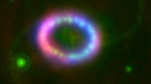 Astrónomos habrían captado una Supernova