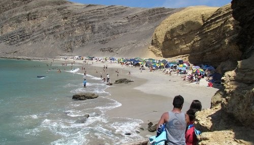 Más de 15 mil turistas nacionales y extranjeros visitaron la Reserva Nacional de Paracas