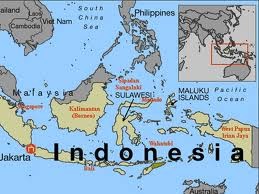 Terremoto de 7.1 grados sacudió a Indonesia en  la madrugada de este sábado