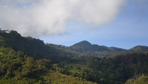 Ministerio del Ambiente reconoce trece nuevas Áreas de Conservación Privada