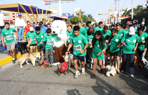 Municipalidad de San Miguel prepara la II Gran Mascotaton