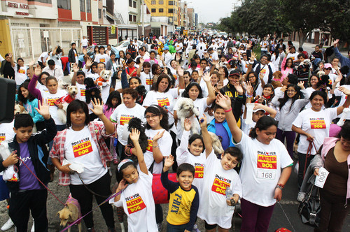 Masiva Participación Con Mascotas Tuvo La Gran Mascotatón En San Miguel