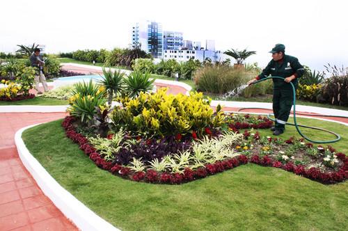 Invitación: Presentación del Primer Techo Verde Municipal