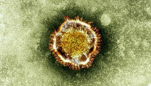 OMS advierte que el coronavirus se puede pasar de persona a persona
