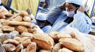 [Bolivia] Alimentos contaminados