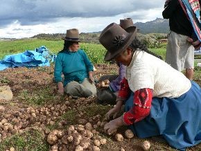 [Huancavelica] Estudiantes de Paucarbambilla con nueva infraestructura