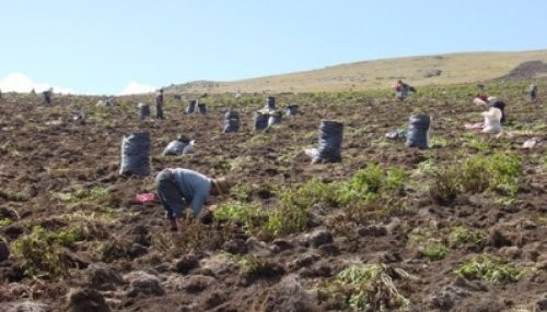 América Latina será la principal exportadora neta de alimentos en el mundo