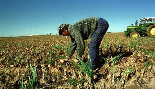 Una agricultura sin campesinos