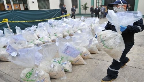 Más de 12 mil hectáreas de coca ilegal han sido erradicada en lo que va del año