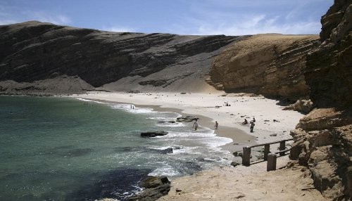 Cerca de 4 mil turistas nacionales y extranjeros visitaron la Reserva Nacional de Paracas