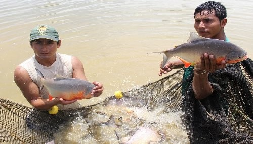 Este lunes 5 de agosto inicia el primer Censo de Pesca Continental en todo el país