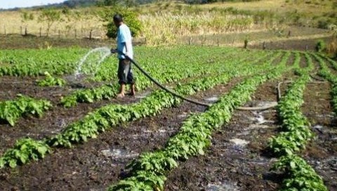 El Ministerio de Agricultura planteó ley de acceso a la tierra