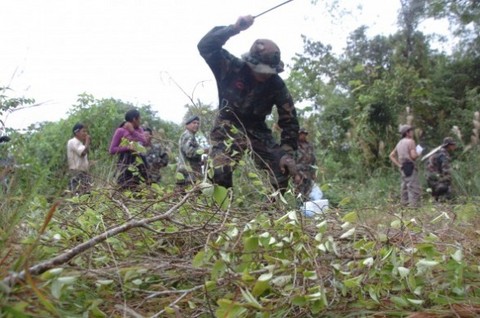Devida prevé eliminar 14 mil hectáreas de coca para el 2012