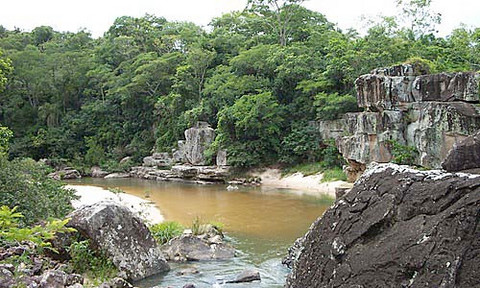 Paraguay: Gobierno recibe cuatro millones de dólares para inventariar bosques