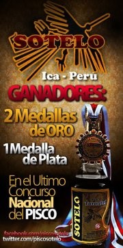 Arrancó el Concurso Nacional del Pisco