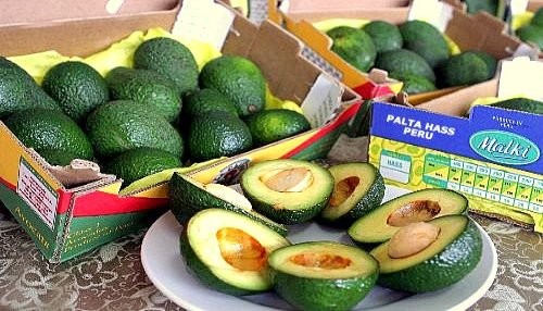 Se inician negociaciones para lograr el acceso de la palta hass al mercado japonés