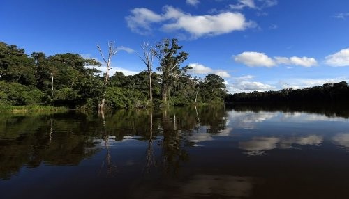 Cusco y Madre de Dios sellan alianza para promocionar la Reserva de Biosfera del Manu