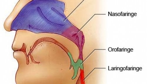 Cáncer de Nasofaringe